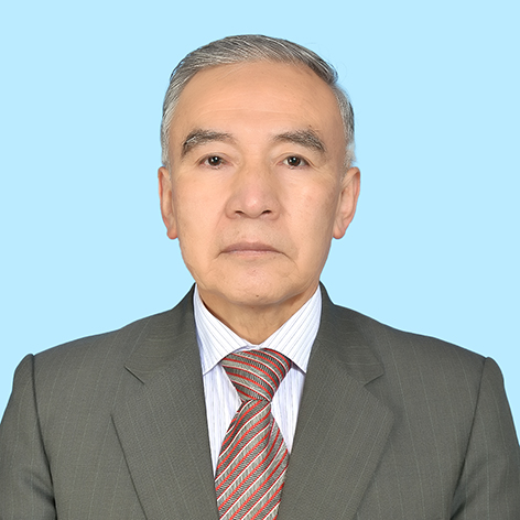 Hernan Montecinos Flores