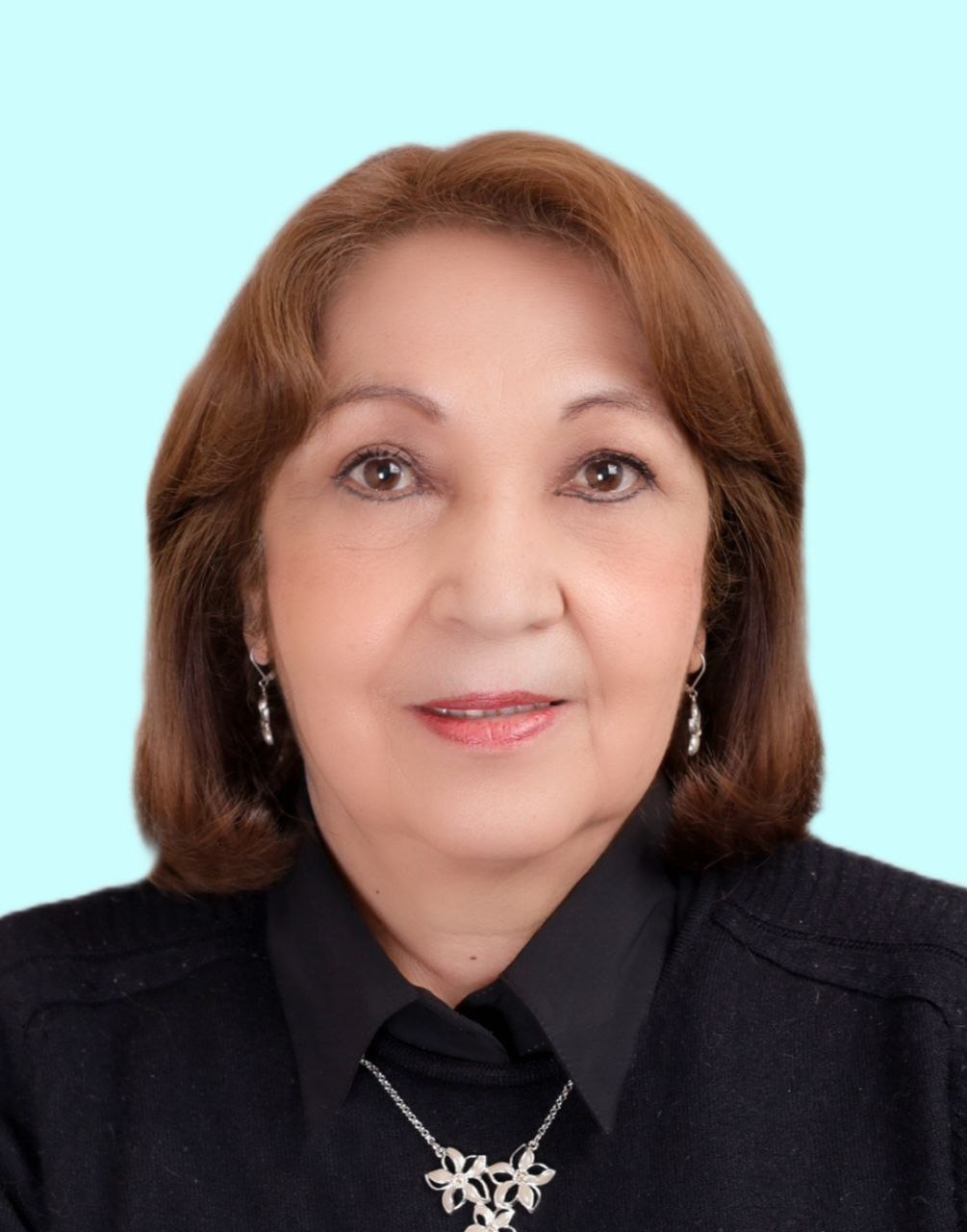 Ruth Viviana Ibañez Segovia