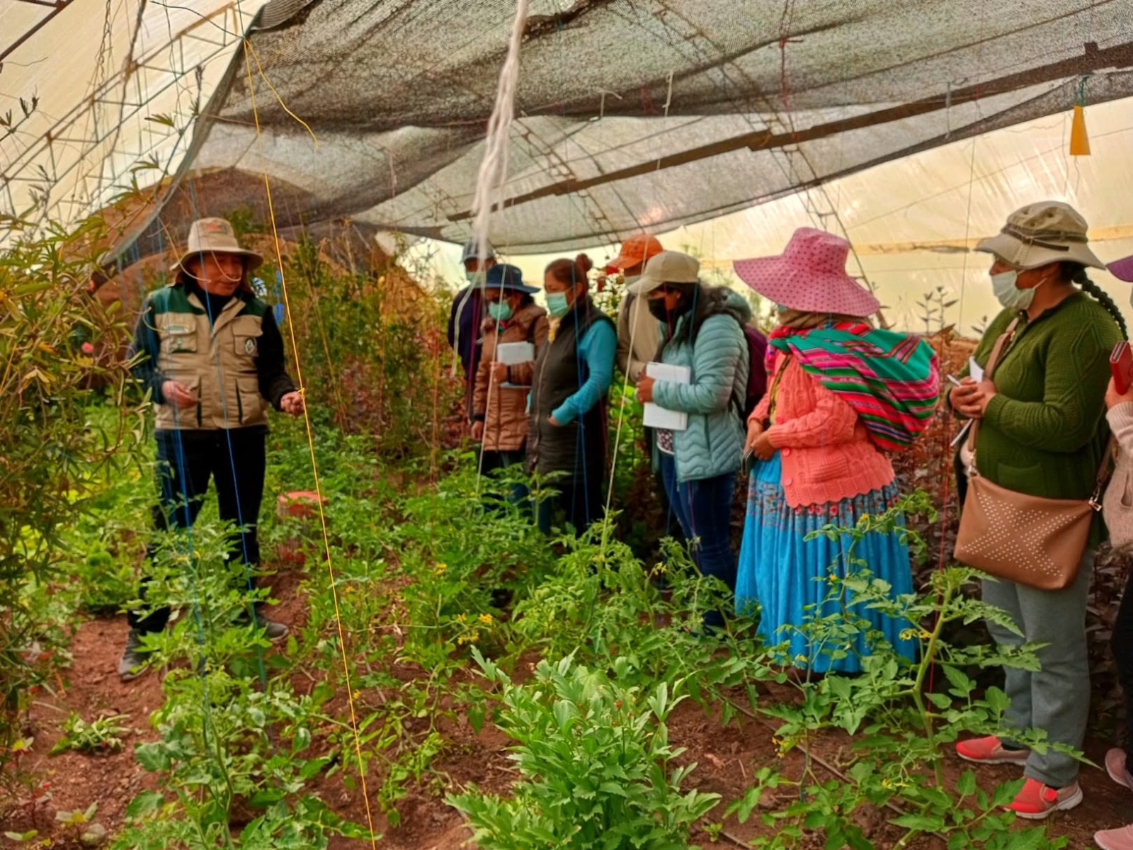 La UMSA respalda con investigación el cultivo de 66 especies adaptadas a ciudades de altura